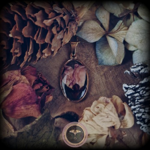 Collier botanique en acier inoxydable doré fleur de rose séchée résine