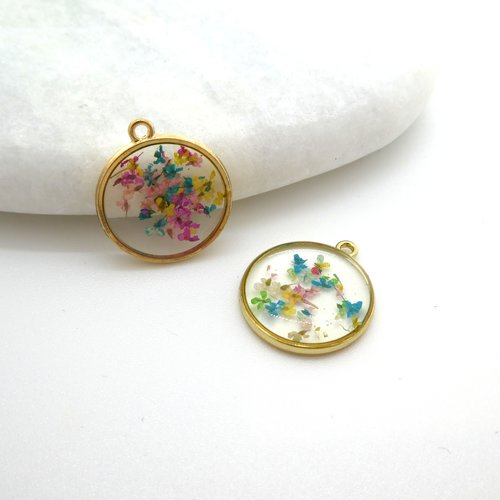 2 pendentifs ronds 20mm fleurs séchées multicolore - alliage zinc et résine - breloque fleur pressée naturelles (np02)