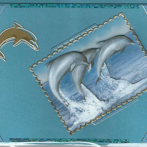 Carte dauphins - da 08