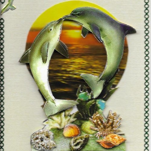 Carte dauphins - da 23
