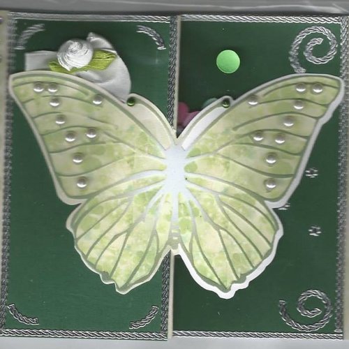 Carte papillons, insectes  - pi 18