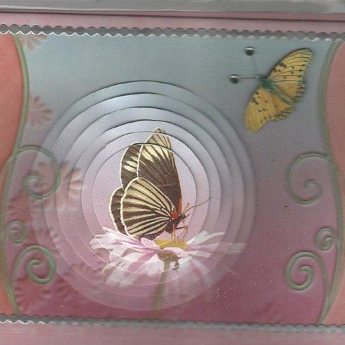 Carte papillons, insectes - pi 15