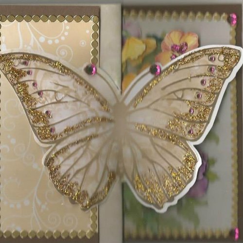 Carte papillons, insectes - pi 34