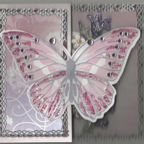 Carte papillons, insectes - pi 33