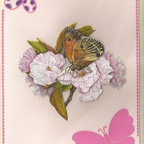 Carte papillons, insectes - pi 05