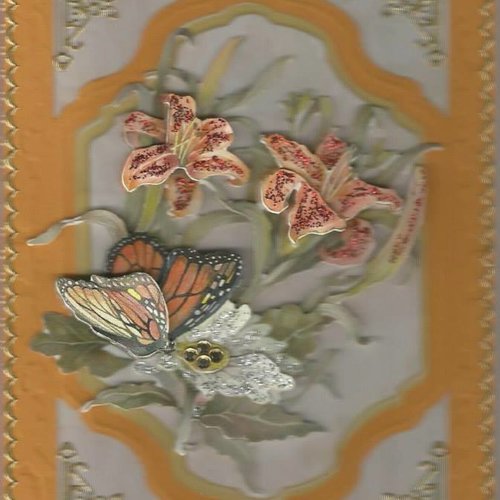 Carte papillons, insectes - pi 24