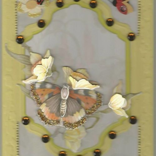 Carte papillons, insectes - pi 23