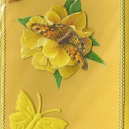 Carte papillons, insectes - pi 08