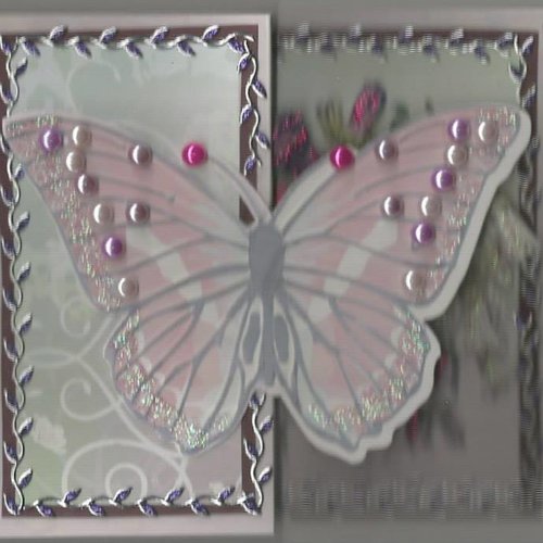 Carte papillons, insectes - pi 29