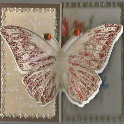 Carte papillons, insectes - pi 28