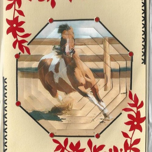 Carte chevaux - che 05