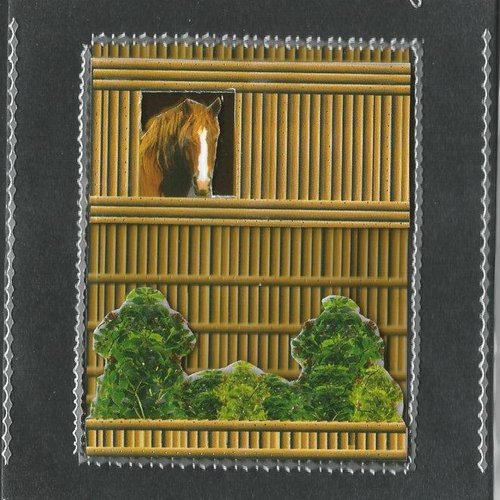 Carte chevaux - che 07