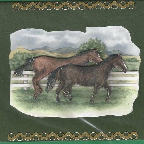 Carte chevaux - che 10
