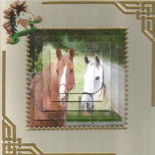 Carte chevaux - che 36