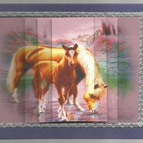 Carte chevaux - che 48