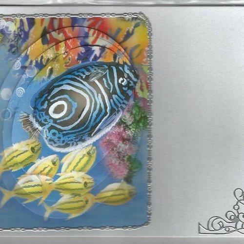 Carte poissons monde aquatique - pma 15