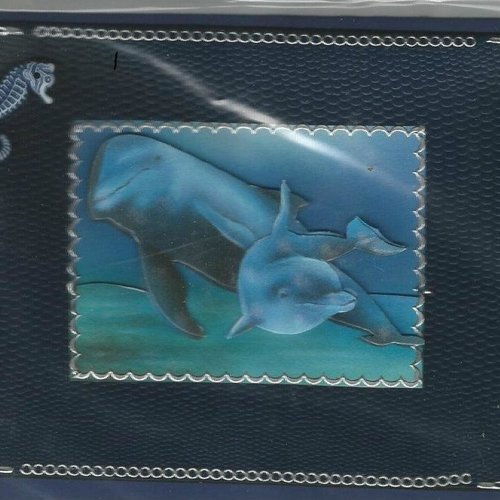 Carte dauphins - da 09
