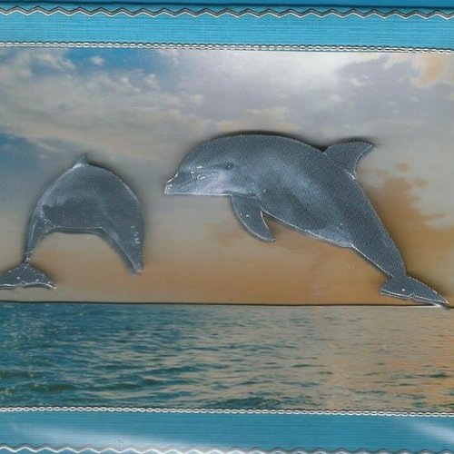 Carte dauphins - da 12