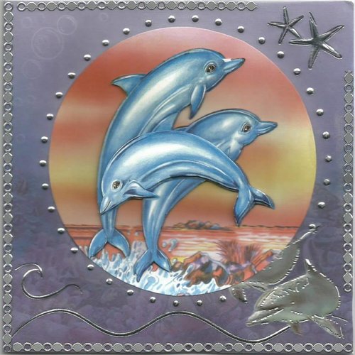 Carte dauphins - da 16