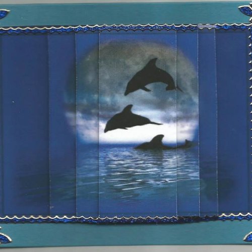 Carte dauphins - da 17