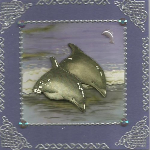 Carte dauphins - da 19
