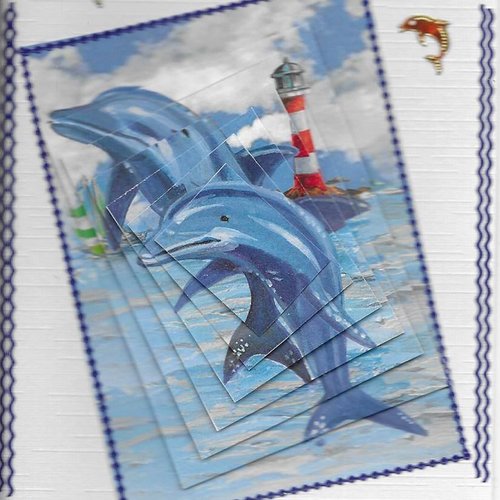 Carte dauphins - da 24