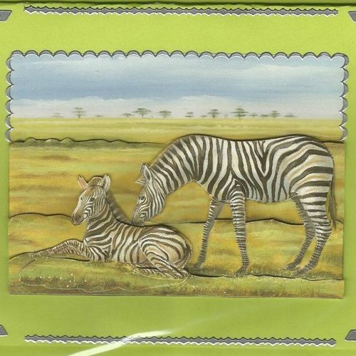 Carte animaux sauvages - as 02