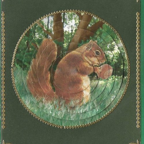 Carte animaux sauvages - as 05