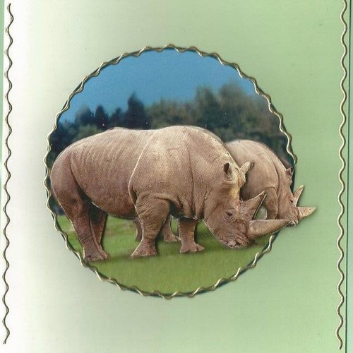 Carte animaux sauvages - as 22