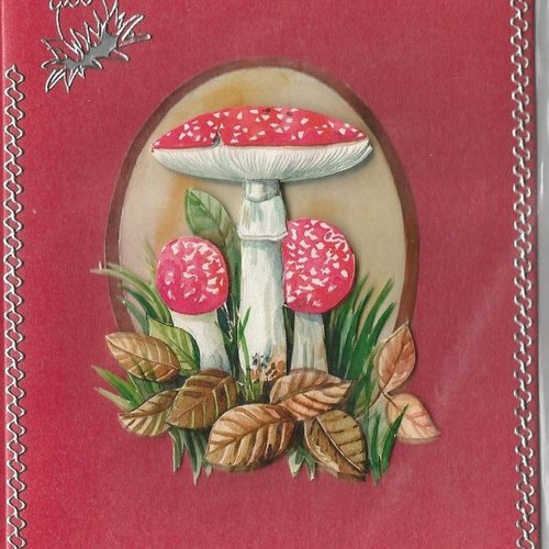 Carte champignons, - cham 03