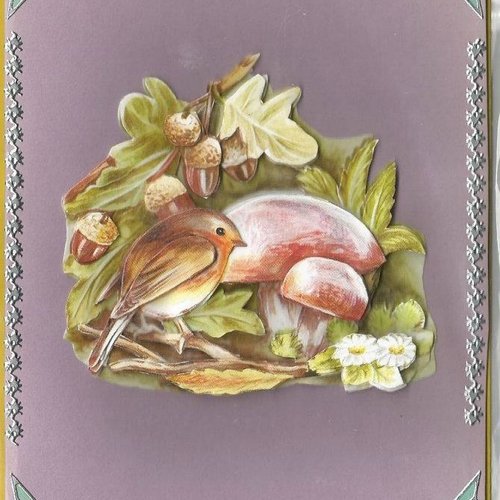 Carte champignons - cham 05