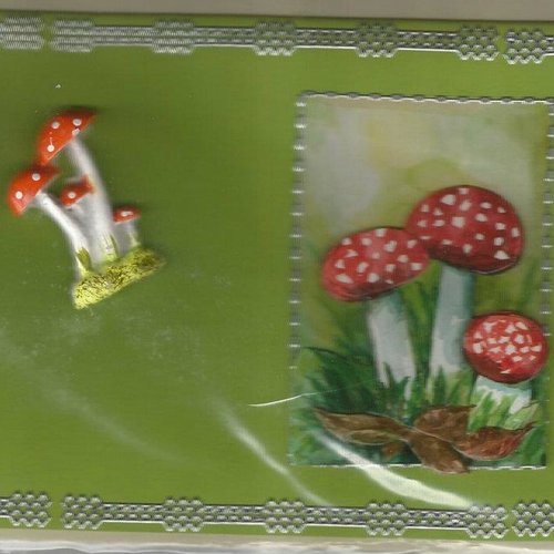 Carte champignons - cham 06