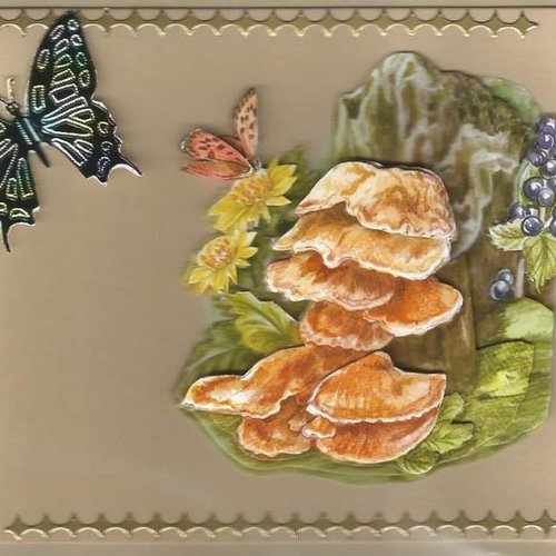 Carte champignons - cham 15