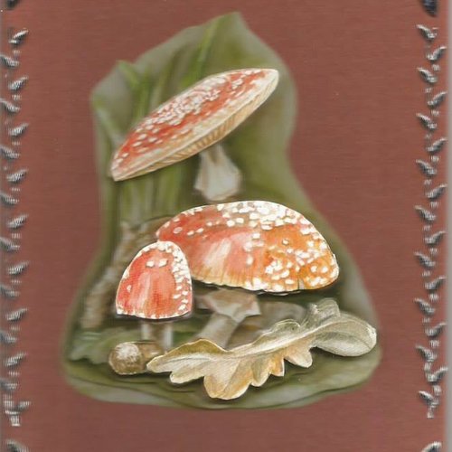 Carte champignons - cham 19
