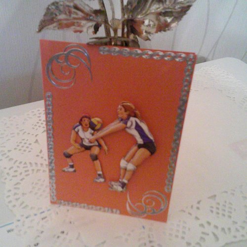 Carte sports - sp 208