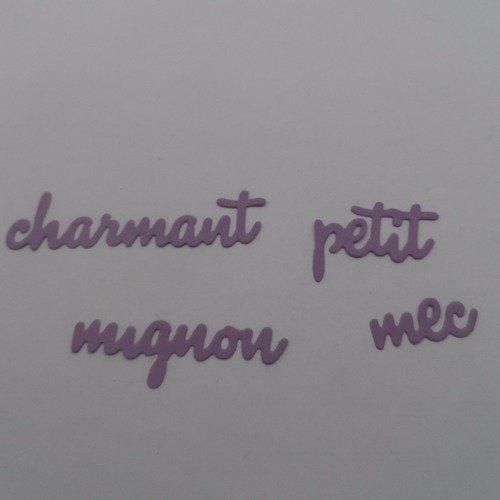 N°511 lot de 4 mots : mignon charmant  petit mec en papier violet