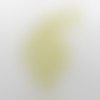 N°606 joli paon  avec sa grande queue  en papier tapisserie vert à paillette   découpage  fin