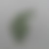 N°606 joli paon  avec sa grande queue  en papier vert      découpage  fin