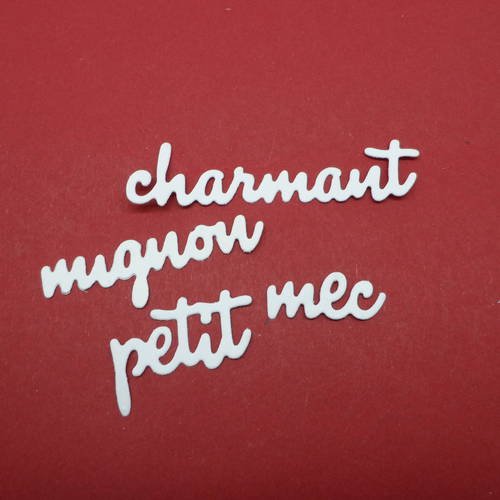 N°511 lot de 4 mots : mignon charmant  petit mec en papier blanc 