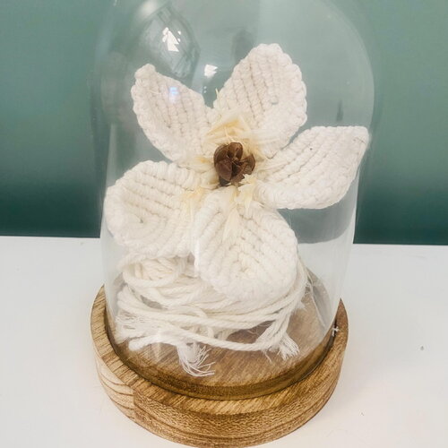Fleur en macramé sous cloche