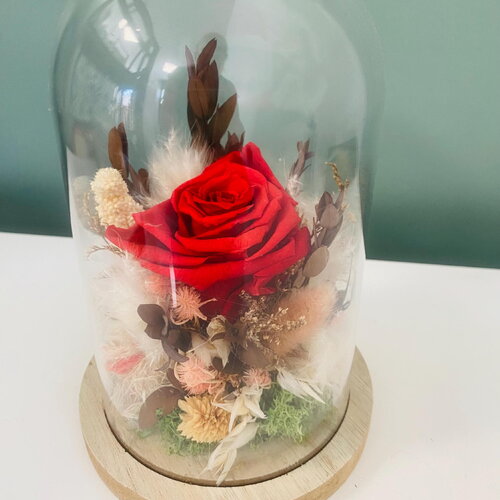Cloche fleurs séchées et rose stabilisée