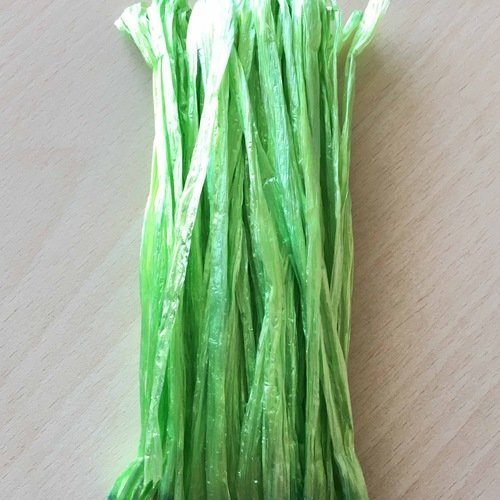Raphia irisé couleur vert
