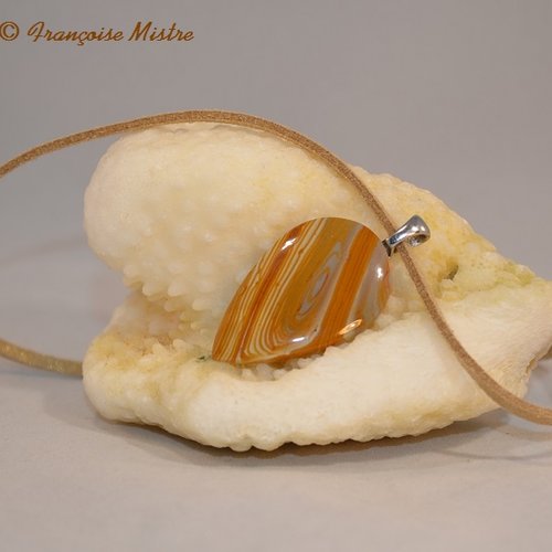 Beau pendentif en jaspe bois canyon marron et bleu