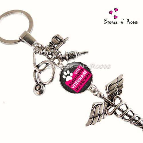 Porte clés " assistante vétérinaire qui déchire " bijou cadeau cabochon métal argenté breloque rose 