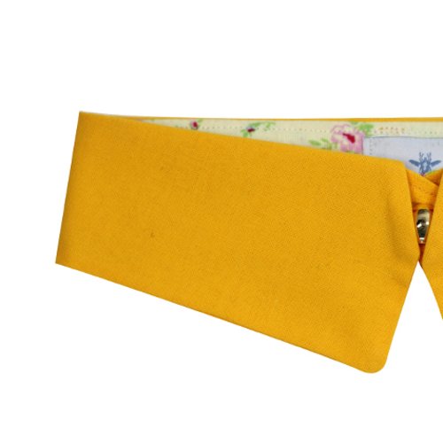 Citrine - faux col