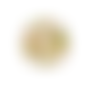 2 cabochons automne feuilles noisettes glands 20 mm