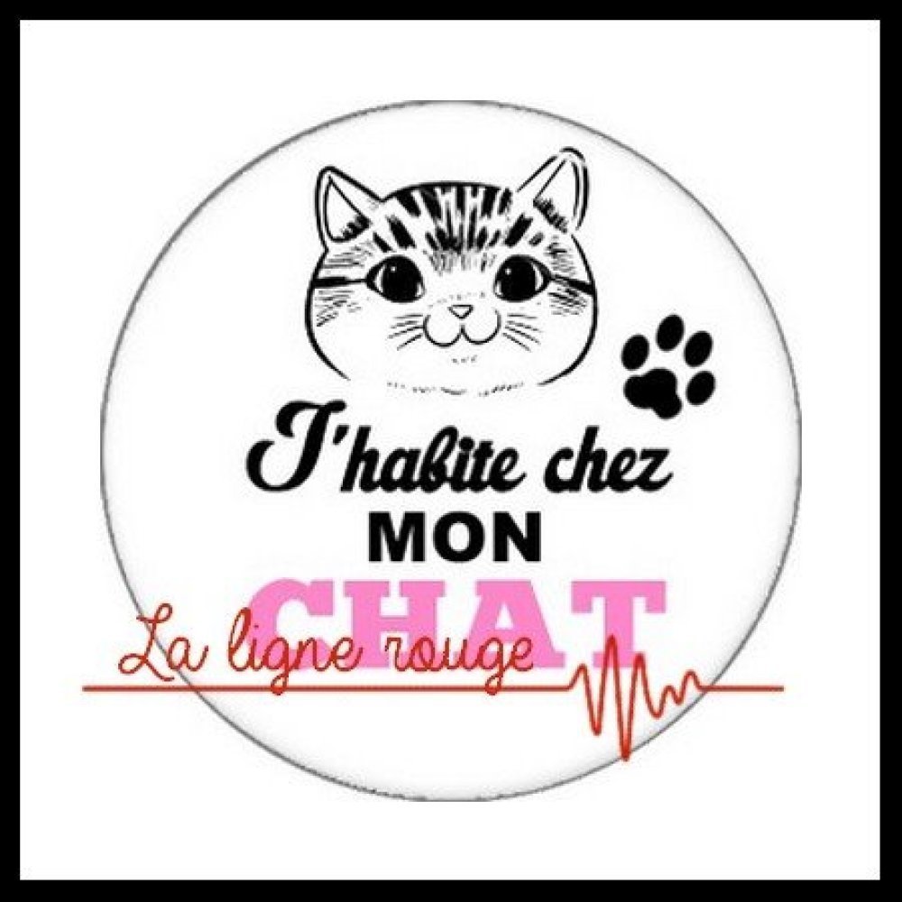 Cabochon Rond A Coller Resine 25 Mm J Habite Chez Mon Chat 1711 Humour Chaton Animaux Un Grand Marche