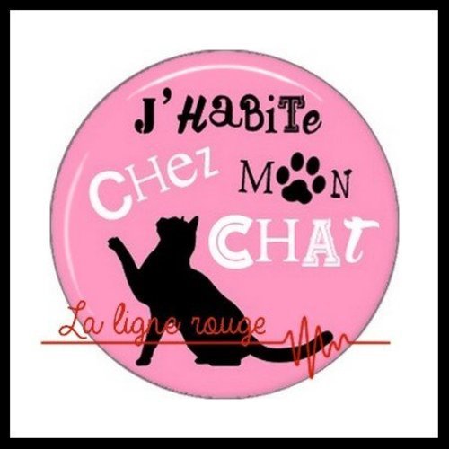 Cabochon Rond A Coller Resine 25 Mm J Habite Chez Mon Chat 1712 Humour Chaton Animaux Un Grand Marche