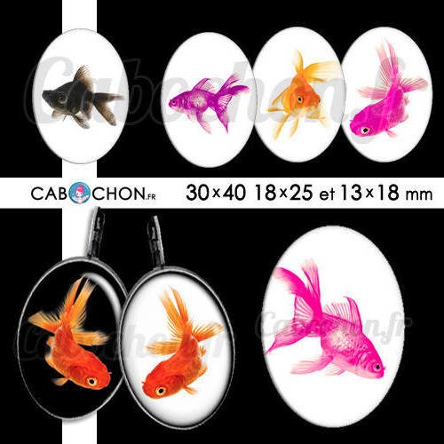 Mon petit poisson ☆ 45 images digitales ovales 30x40 18x25 et 13x18 mm rouge goldfish combatant aquarium page cabochon 
