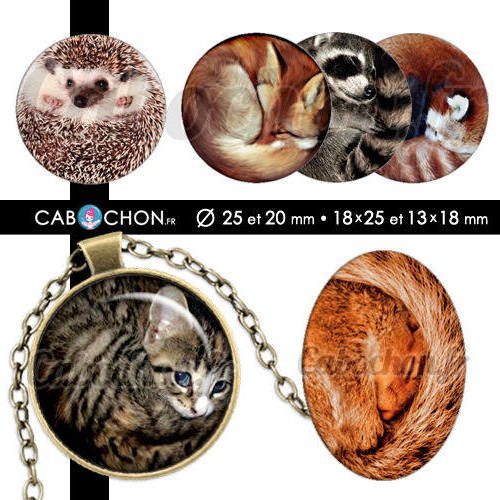 Boules de poils ☆ 60 images digitales rondes 25 et 20 mm ovales 18x25 et 13x18 mm chat chaton herisson renard ecureuil raton cabochon 